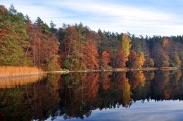 wet-lake-gf1c4d3d90_640.jpeg