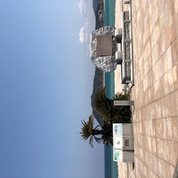 IMG_0737.jpg