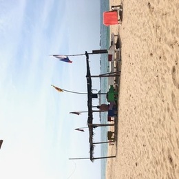 IMG_7159.jpg