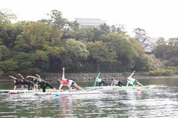 14591636_1195041617210238_4842975537505594017_n.jpg