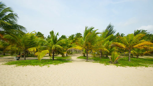 Marari_Beach_Resort_DSC06004.jpg