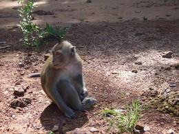 DSCF7989.JPG