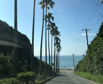 伊良湖.jpg